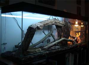 Самостоятельно выполненный террариум 