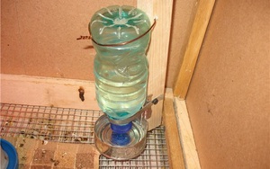 Самодельная поилка