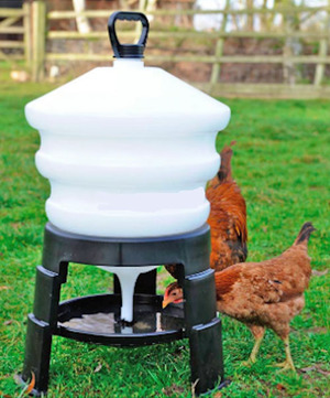 Какие существуют поилки