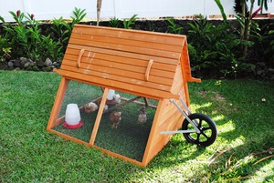 Как построить курятник