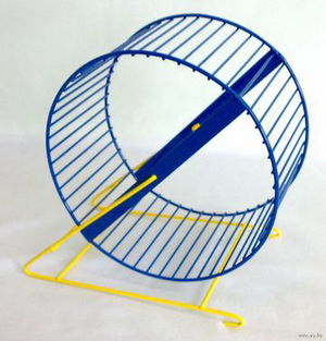 Как сделать колесо для хомяка своими руками: пошаговая инструкция