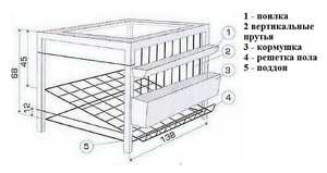 Строительство клетки