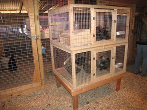 Как сделать клетку для цыплят своими руками: пошаговая инструкция