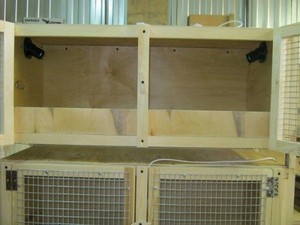 Какие клетки построить для цыплят