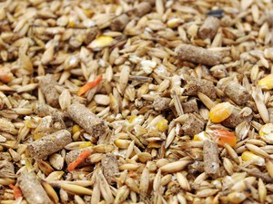 Чем кормить кур фавероль