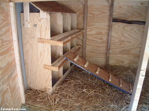 Оборудование в курятнике