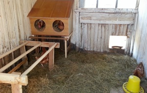 Как обустроить курятник внутри