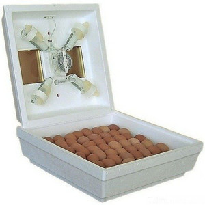 Ручной инкубатор-что это