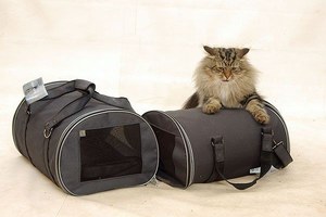Какие есть переноски для кошек