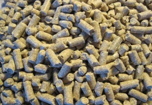 Комбикорм для несушек своими руками: рецепт и пропорции