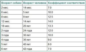 Как точно определить возраст собаки по зубам и другим признакам