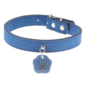 Ошейники для кошек и котят: с медальоном и без