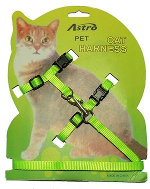 Ошейники для котят