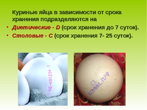 Как правильно хранить куриные яйца