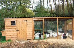 Как построить курятник для бройлеров своими руками: пошаговое руководство