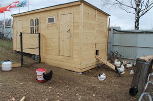 Требования к курятникам