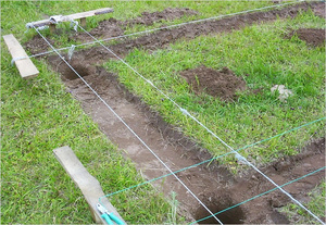 Этапы строительства курятника для бройлеров своими руками