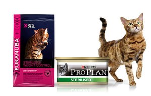 Особенности Кормления котов