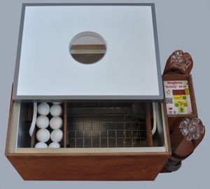 Инкубатор Блиц от производителя — быстрое выведение птенцов