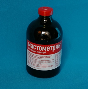 Мастометрин для собак: инструкция по применению и дозировка