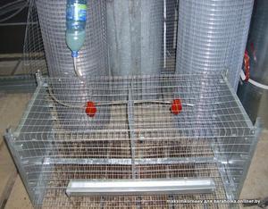 Способ сделать поилку