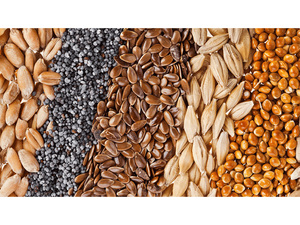 Семечки и зерна для щеглов