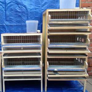 Самодельная клетка для перепела