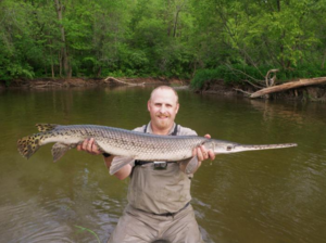 Мясо панцирной щуки не особо ценное, ее предпочитают ловить в спортивных интересах