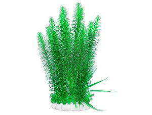 Элодея в аквариуме: уход, особенности и польза для рыбок