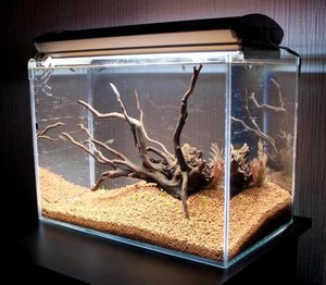 Коряга для аквариума