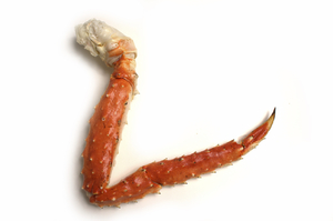 Сколько лапок у краба