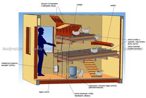 Чертеж курятника 