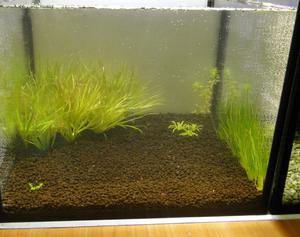 Оборудования для аквариума