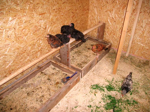 Конструкция с поддоном