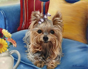 Описание йоркширских терьеров