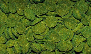 Вместе с кормом рыбкам необходимы витаминные добавки