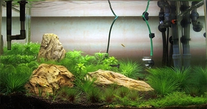 Выбор фильтра