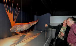 Ремень-рыба, или сельдяной король - тайна природы рыба ремень калифорния.