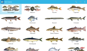 Промысловые рыбы