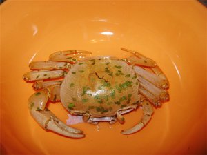 Радужный краб готовится к линьке