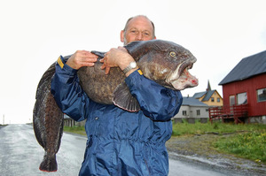 Как приготовить рыбу зубатку