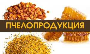 Продукты пчеловодства