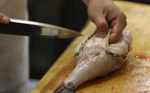 Как приготовить фугу