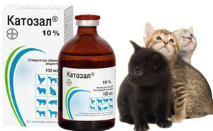 Катозал в ветеринарии