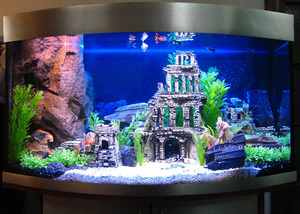 Современные стили оформления аквариума: идеи и тренды 2025