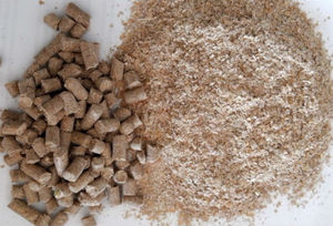 Причины кокцидиоза