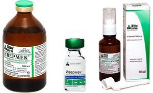 Состав, формы выпуска препарата 