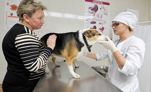 Противопоказания для применения препарата 