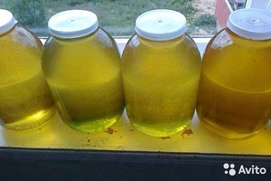 Мед в банках