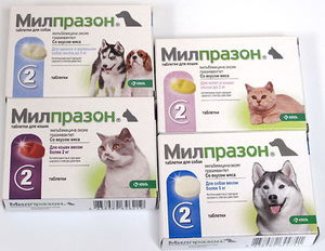 Милпразон инструкция по применению для кошек 